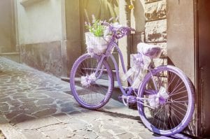 Cycling Provence Alpilles