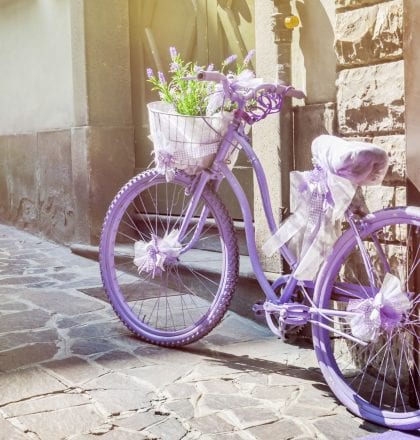 Cycling Provence Alpilles