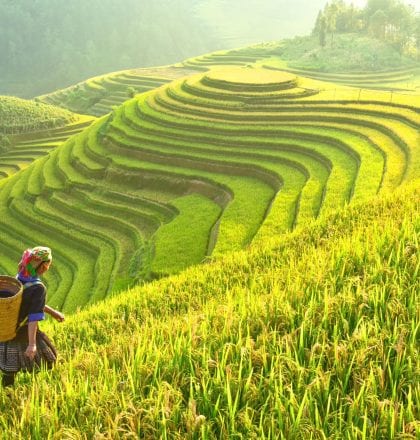 Classic Vietnam with Sapa