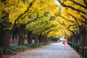 Japan: Past & Present