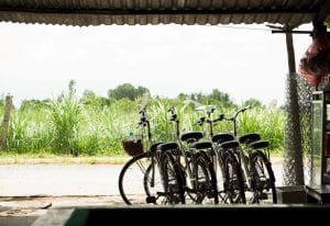 Vietnam By Bike
