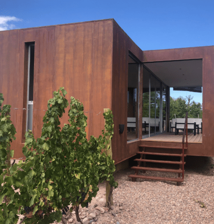Argentinean Wine Country