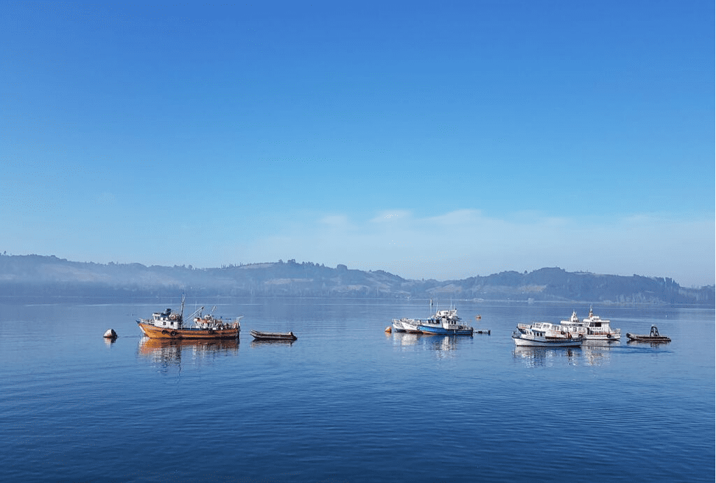 Chilling Out In Chiloé