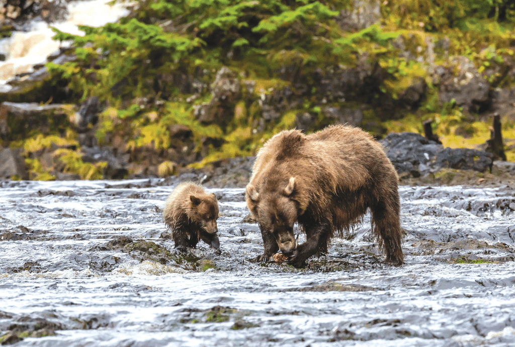 Unforgettable Alaska