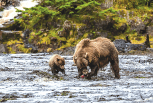 Unforgettable Alaska