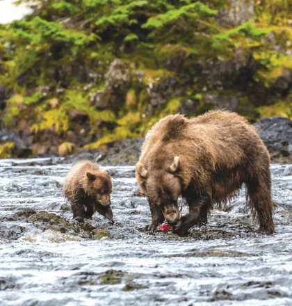 Unforgettable Alaska