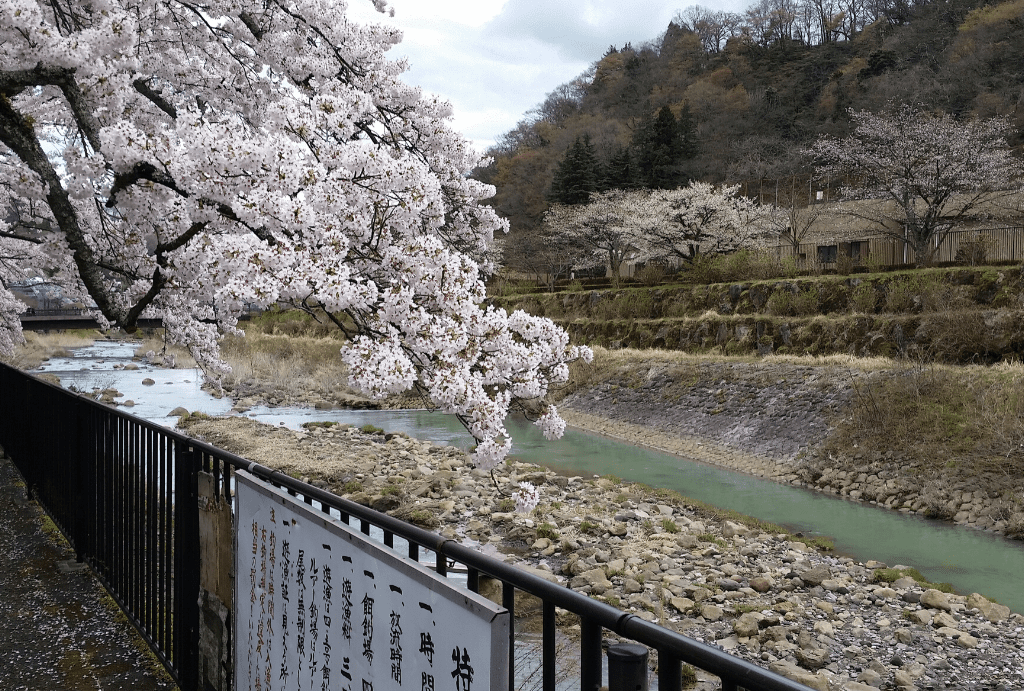 Visiting Hakone and Surrounds