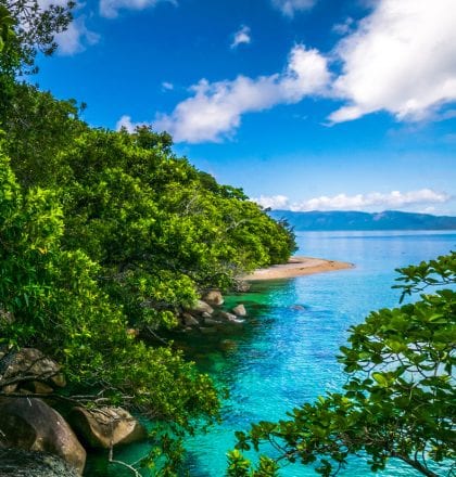 Palm Cove? More Like Paradise Cove!