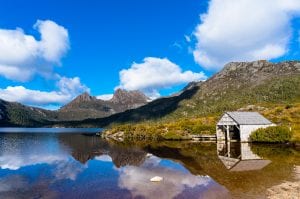 Eating Our Way Around Tassie